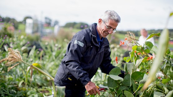 Bild från Region Jönköpings län