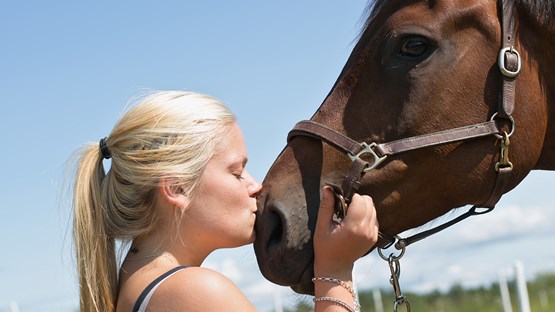 Bild från Region Jönköpings län